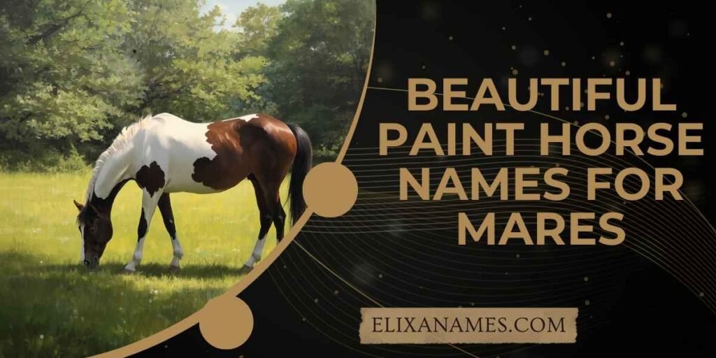Beautiful Paint Horse Names for Mares
