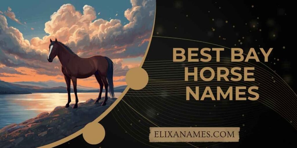 Best Bay Horse Names