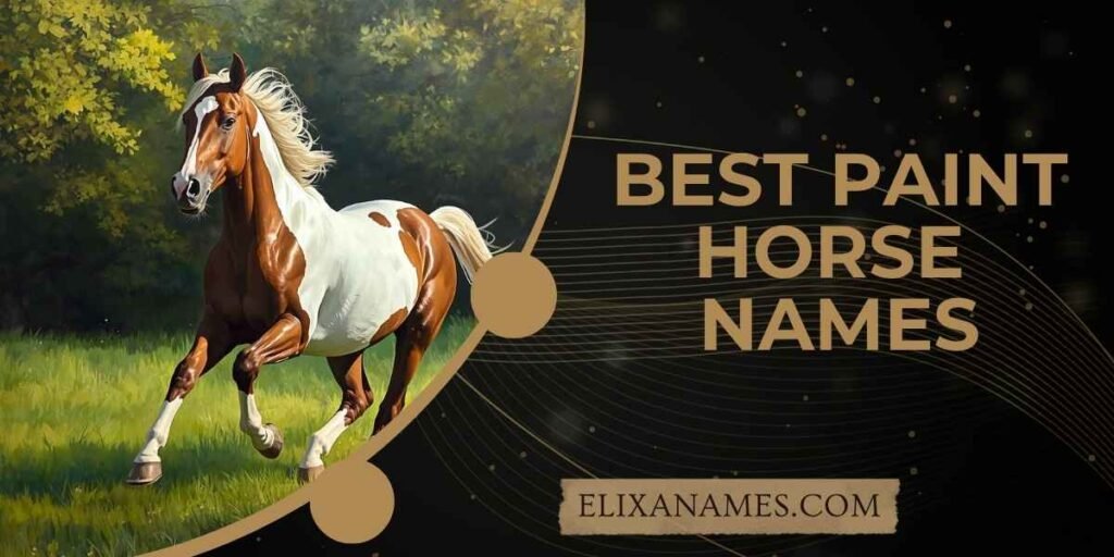 Best Paint Horse Names