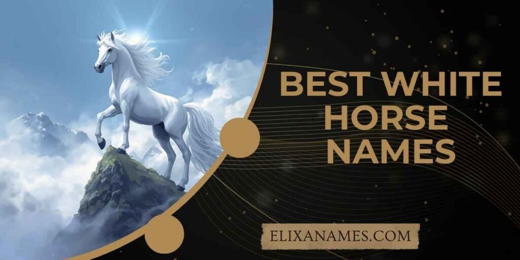 Best White Horse Names