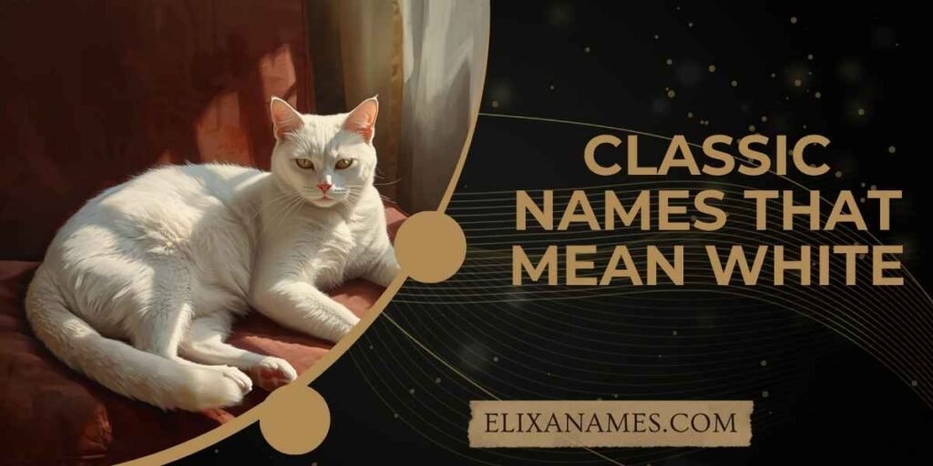 Classic Names That Mean White