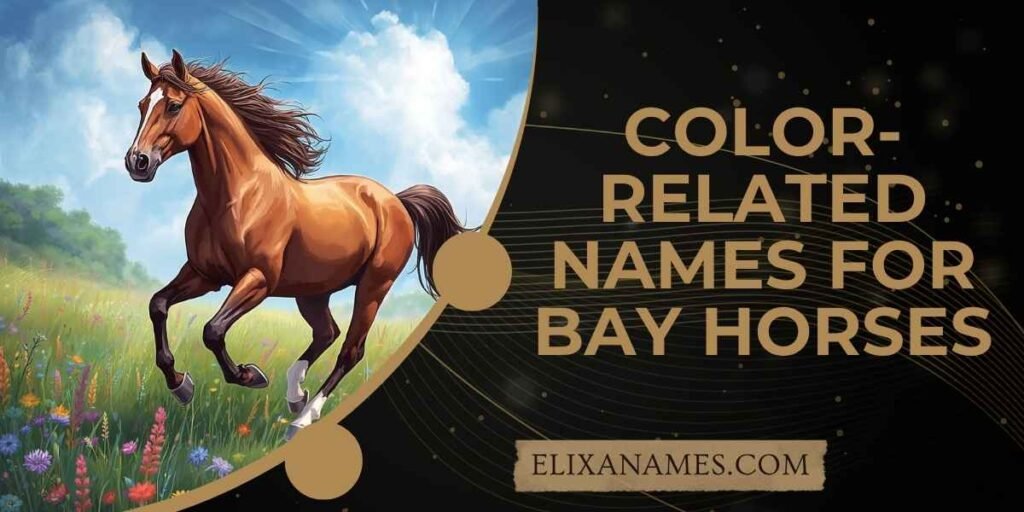 Color-Related Names for Bay Horses