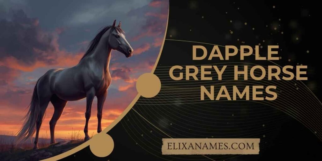 Dapple Grey Horse Names