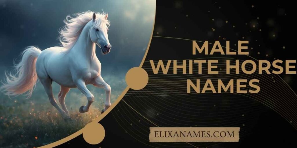 Male White Horse Names