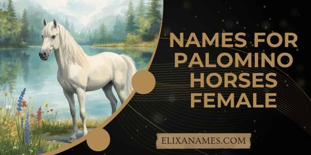 Names for Palomino Horses Female