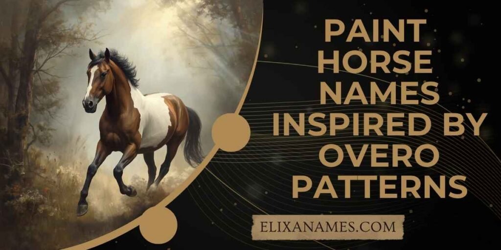 Paint Horse Names Inspired by Overo Patterns