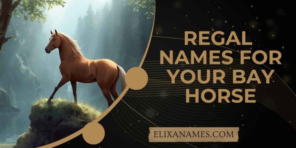 Regal Names for Your Bay Horse