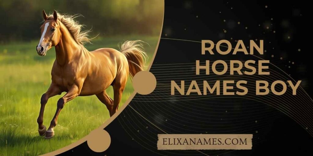Roan Horse Names Boy