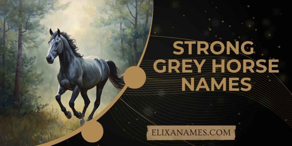 Strong Grey Horse Names