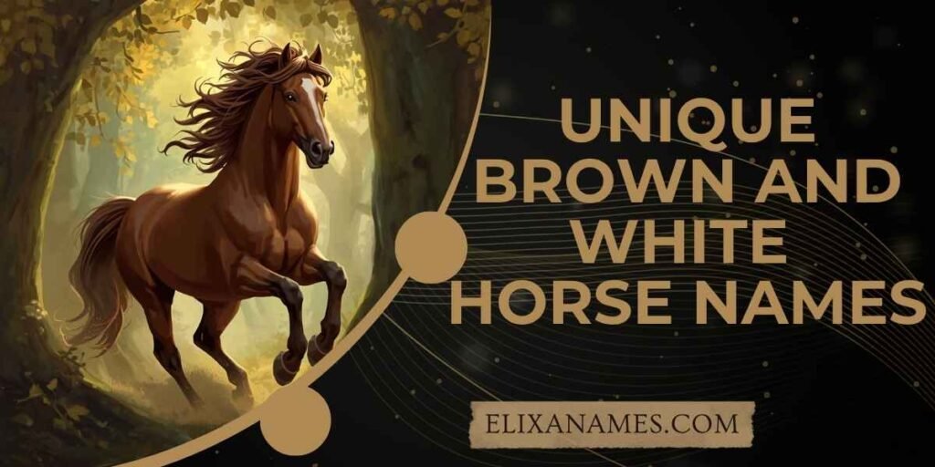 Unique Brown and White Horse Names