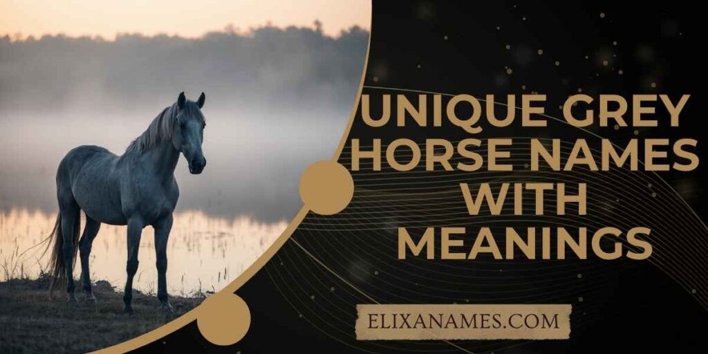 Unique Grey Horse Names with Meanings