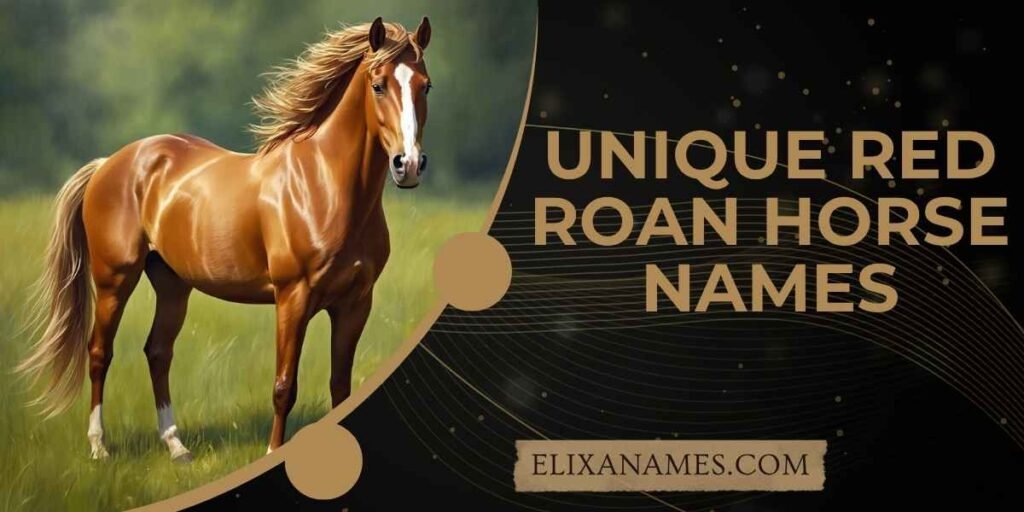 Unique Red Roan Horse Names