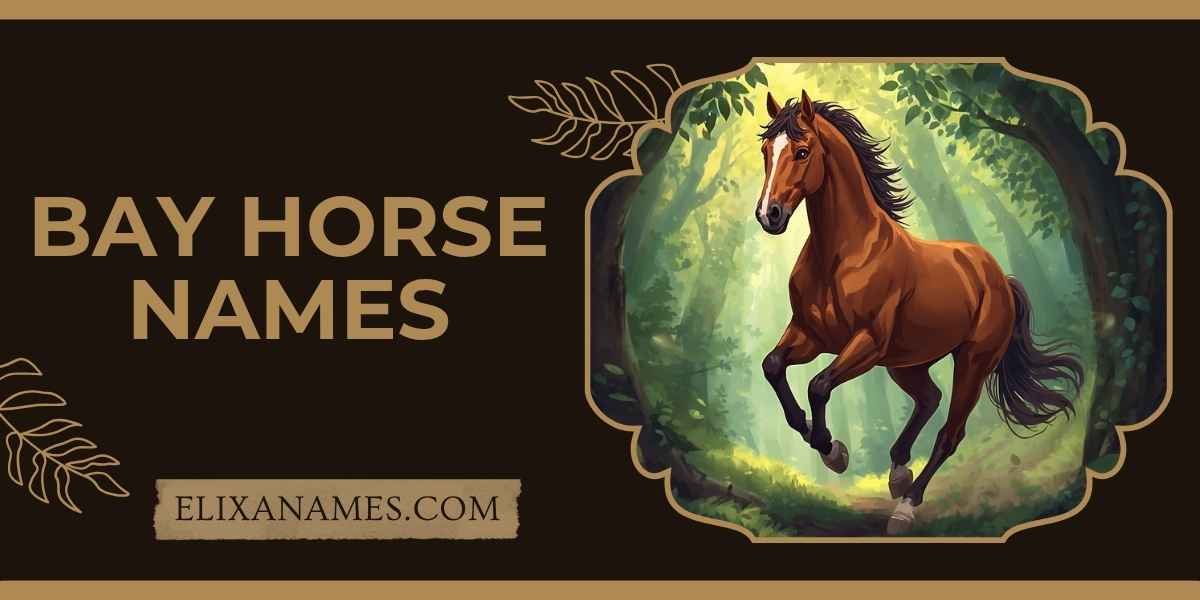 Bay Horse Names