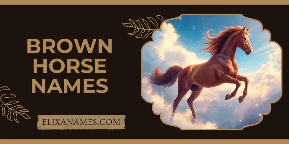 Brown Horse Names