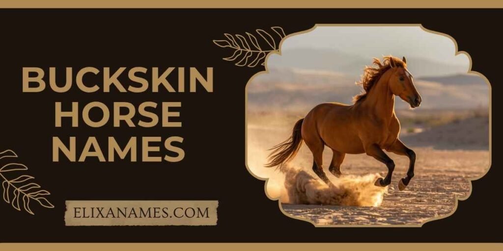 Buckskin Horse Names
