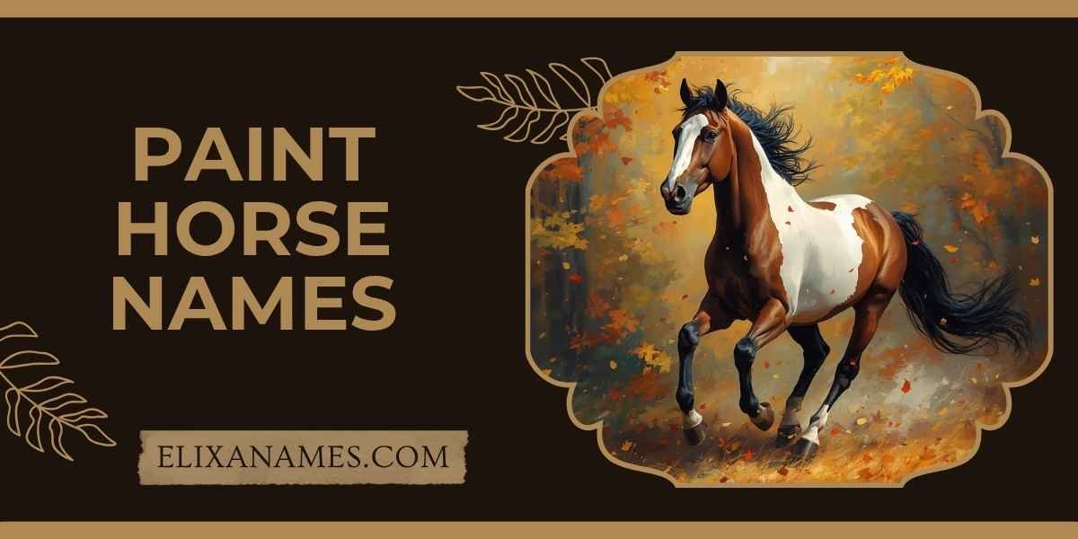 Paint Horse Names