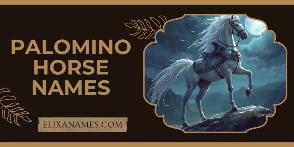 Palomino Horse Names