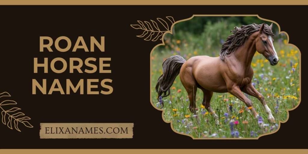 Roan Horse Names
