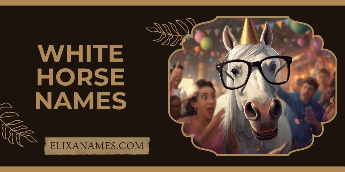 White Horse Names